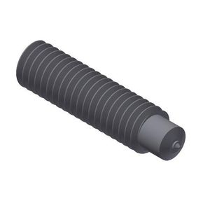 CJL 1/4-20 X 7/8 SS316L