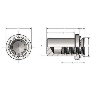 Spiralock #8-32  Self-Clinching Blind Fasteners 0.038 Inch Standoff STAINLESS (300  Series)